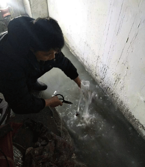 沧州南皮县防水堵漏